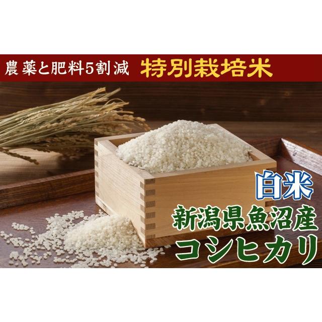 新米 コシヒカリ 5kg×2 新潟県 魚沼産 白米 精白米 10kg 令和5年産 送料無料 特別栽培米 生産者限定 HACCP認定工場 特A（SL）