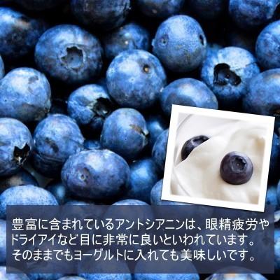 ドライフルーツ ワイルドブルーベリー 1kg(500g×2) ノンオイル アメリカ産 野生種 おつまみ ギフト