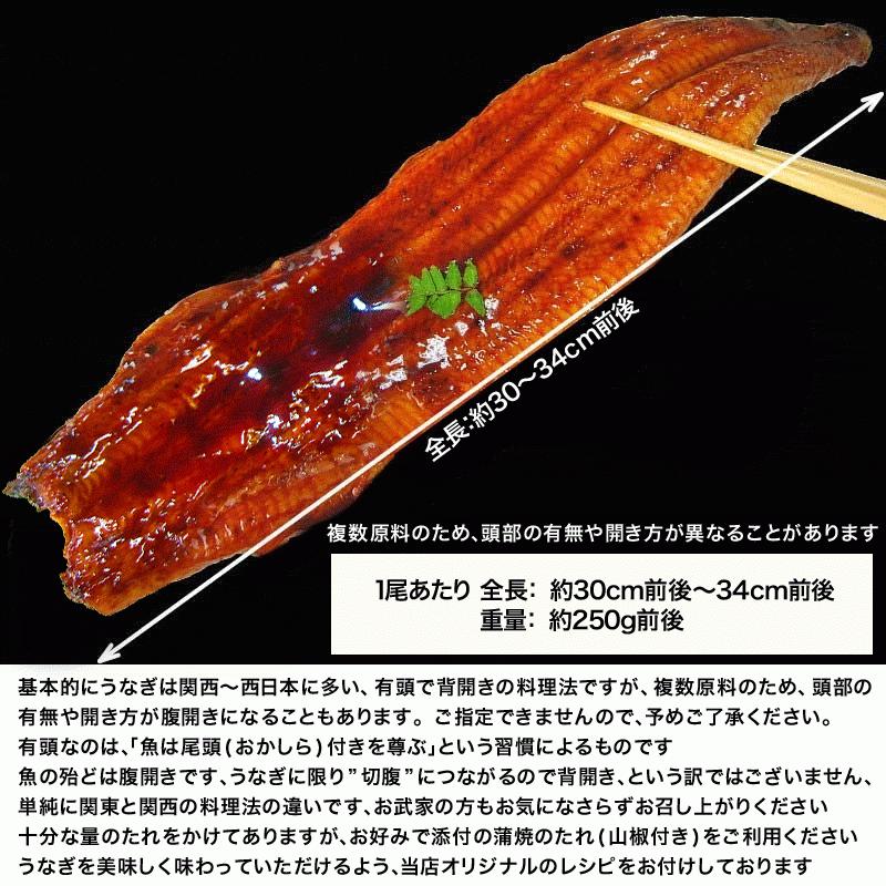 ギフト うなぎ 蒲焼き 国産 鰻 うなぎ蒲焼 セール 九州産 4尾 特大(約250g前後×4尾)60代 70代 80代 宮崎・鹿児島県産