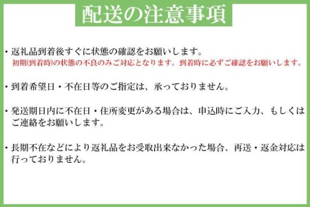 生まぐろの本場紀州勝浦から直送！　生メバチマグロ 約1.5kg（1カ月に1回お届け）（全3ヵ月）