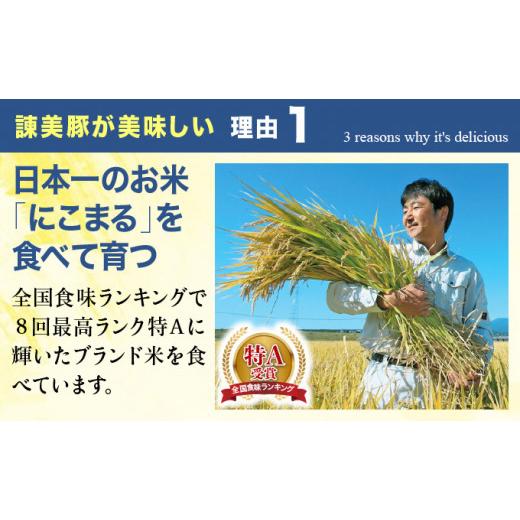 ふるさと納税 長崎県 諫早市 諫美豚(かんびとん)生ハム3種セット310g