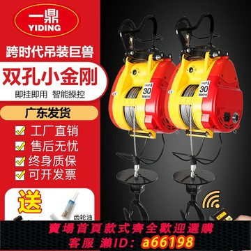 【台灣公司 可開發票】小金剛電動葫蘆220v家用便攜式小型電葫蘆升降吊機提升機卷揚機