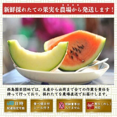 すいか様専用マスクメロン8／12着 輝い その他 | institutodelacalidad.cl