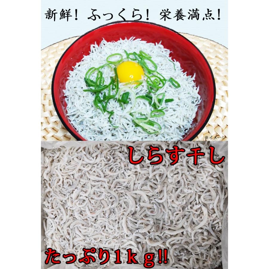 新物 しらす干し 1Kg シラス 国産 釜揚げしらす干し 1Kg 送料無料 海産物