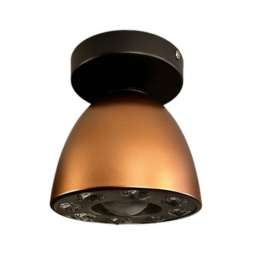單吸頂燈 B69-MM-0073．咖啡