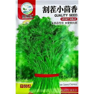 【原廠包裝】小茴香種子 台灣現貨 香料植物 孜然 茴香籽 可食用 盆栽陽台種植 料理調味 贈種植教學 自種香草超簡單