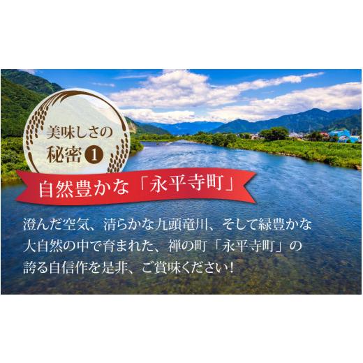 ふるさと納税 福井県 永平寺町  令和5年度産 永平寺町産 コシヒカリ 20kg×6ヶ月（計120kg） [L-033080]