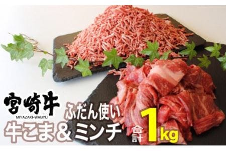 宮崎牛 こま肉とミンチのセット 1kg