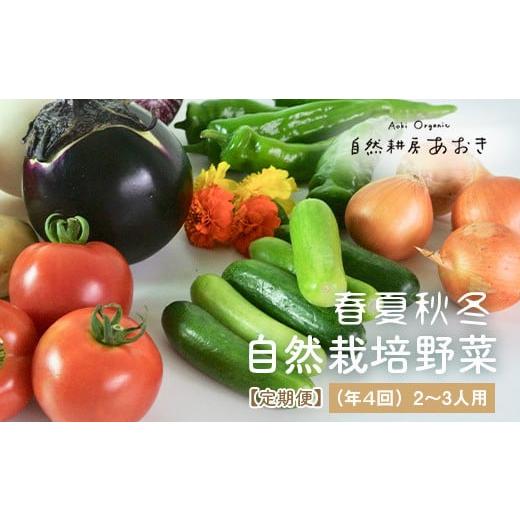 ふるさと納税 京都府 京丹後市 春夏秋冬自然栽培野菜セット(年4回)2〜3人用