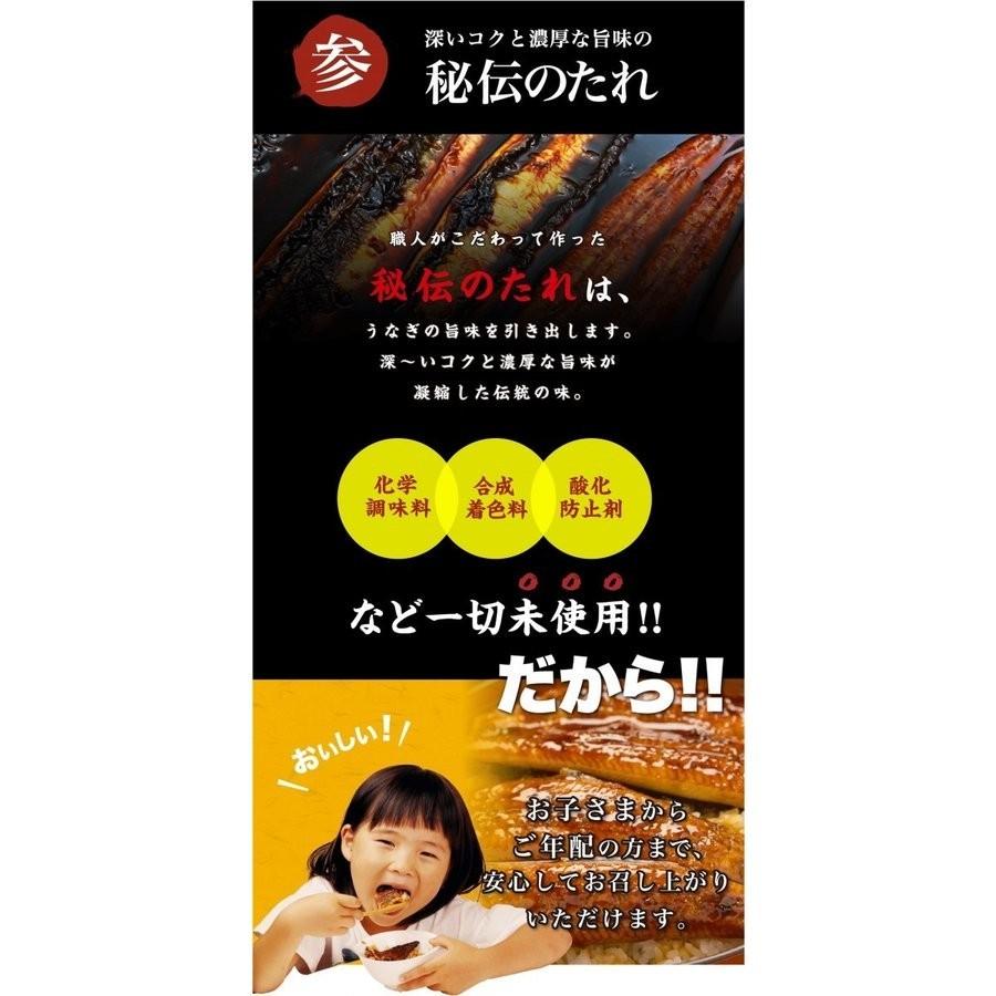 ご当地お取り寄せグルメ 鰻 人気 鰻のかば焼き 高知県 四万十川 スタミナ 国産 四万十うなぎ（約1尾110ｇ）２尾入り ご自宅用 送料無料