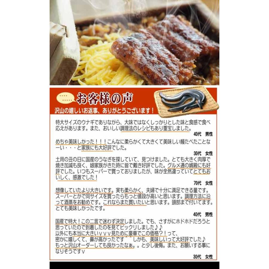 うなぎ 蒲焼き 国産 ギフト 鰻 うなぎ蒲焼き 九州産 2尾 特大(約200〜230g前後×2尾)宮崎・鹿児島県産