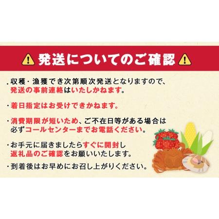 ふるさと納税 肉厚 生しいたけ・乾燥きくらげ×うま香つゆの素 セット 北海道白老町