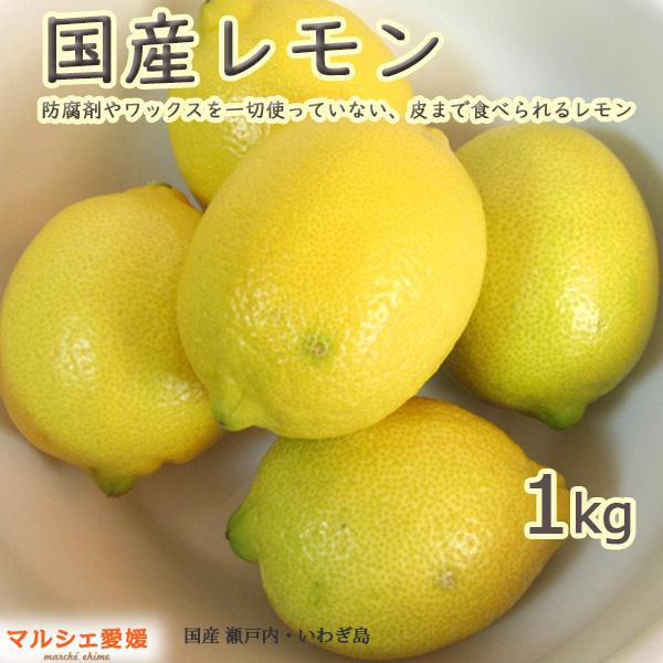 国産レモン 可品 1キロ 1kg サイズ混合 Sサイズ Mサイズ Lサイズ 2Lサイズ 風スレ ワックス不使用 皮まで食べられる 国産 一部地域 送料無料