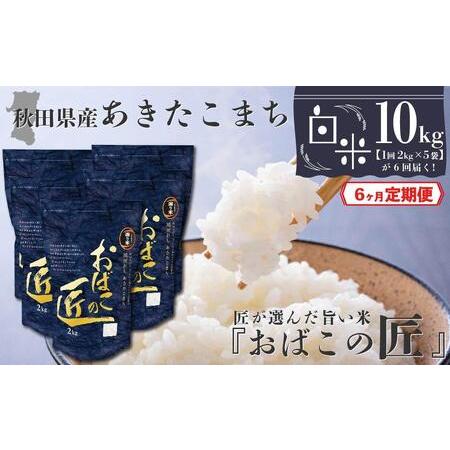 ふるさと納税 秋田県産おばこの匠あきたこまち　10kg （2kg×5袋）白米 秋田県大仙市