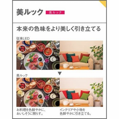 パナソニック スポットライト 直付 美ルック 温白色 100形電球1灯器具