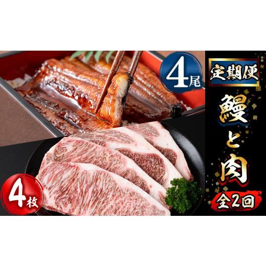 ふるさと納税 鹿児島県 志布志市 鰻と肉の定期便！ステーキ4枚と鰻蒲焼4尾をお届け！ t0052-002