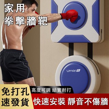 沙袋拳擊  搏擊訓練散打器材家用墻靶兒童小孩成人拳靶 打拳掛墻