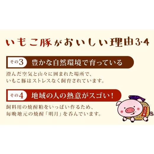 ふるさと納税 宮崎県 えびの市 いもこ豚（彩）バラエティセット 1.6kg セット 詰合せ 宮崎県産