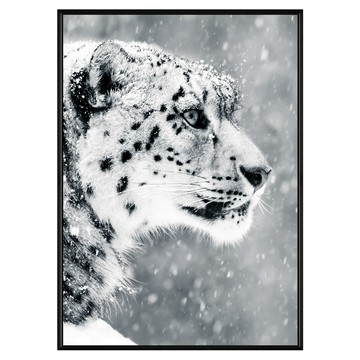 Boluo 菠蘿選畫所 堅持 雪豹 黑色 畫作  42 x 59.4cm