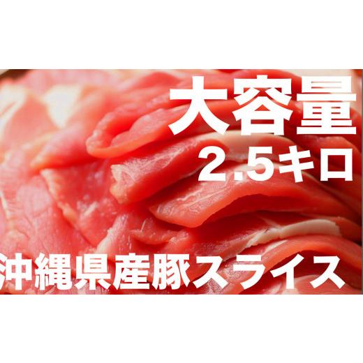 ふるさと納税 沖縄県 うるま市 大容量！沖縄県産豚スライス肉2.5キロとジューシーハンバーグ800グラムセット　県産　島豚　豚肉　大容量　豚肉　スライス肉　…