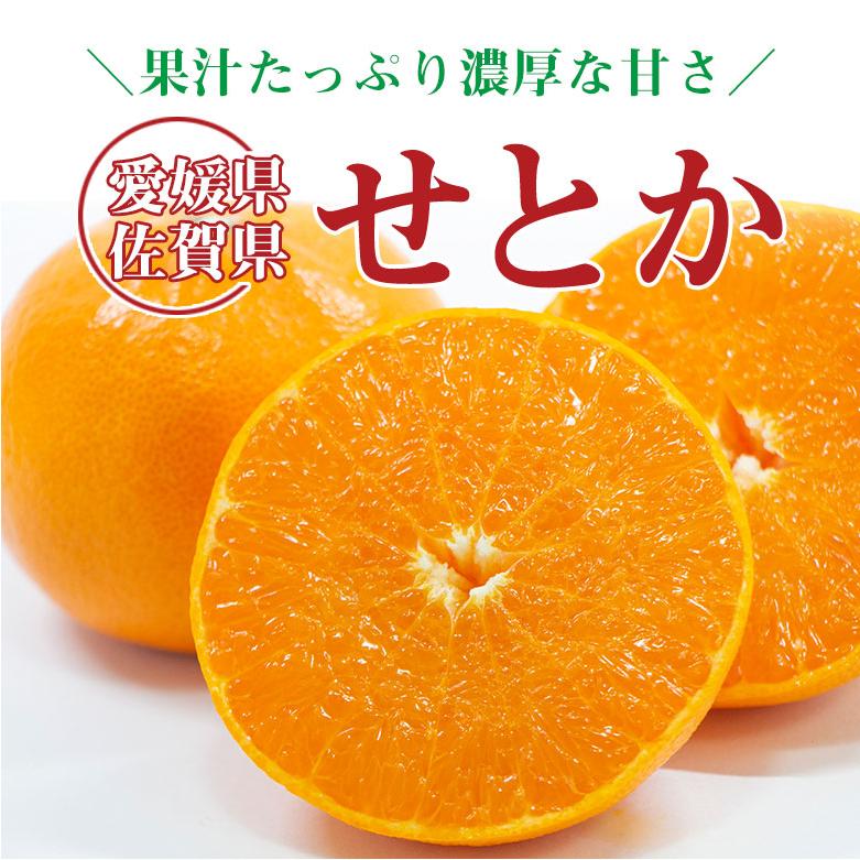 送料無料 愛媛県産 佐賀県産 せとか 愛媛みかん 愛媛県せとか 佐賀県 L 2L サイズ 大きさ 混合 約 3kg 箱買い ご家庭用 秀品  ギフト 化粧箱