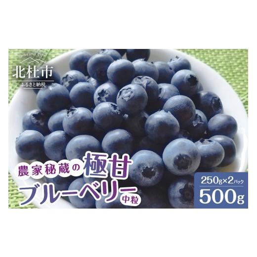 ふるさと納税 山梨県 北杜市 7月〜9月発送！農家秘蔵の極甘ブルーベリー　中粒500g（250g×2パック）