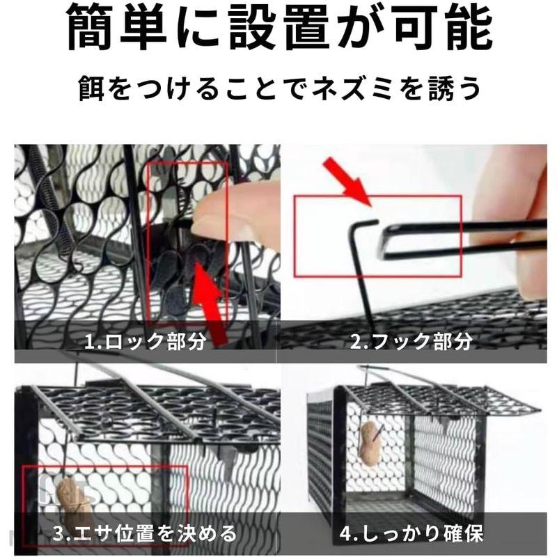 MaT store ねずみ捕り ねずみ捕獲 かご 駆除 角型 小動物 保護 室内 屋外 罠 簡単設置