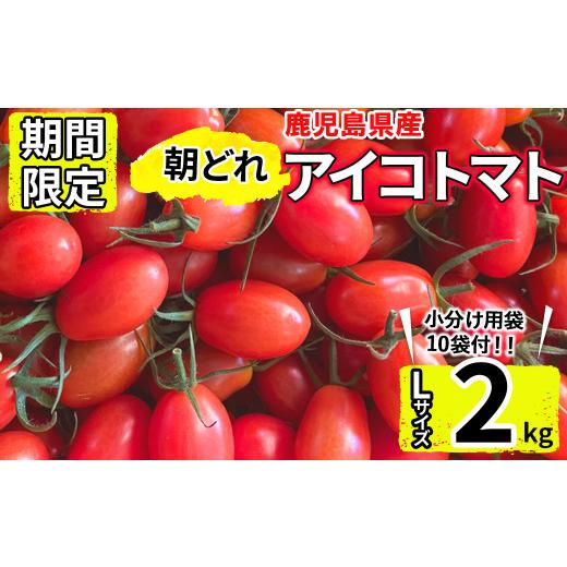 ふるさと納税 鹿児島県 志布志市 鹿児島県産 内村ファームの朝どれアイコトマト(2kg) a0-303