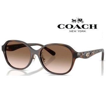 COACH 蔻馳 亞洲版 時尚太陽眼鏡 HC8445D 512013 玳瑁色框漸層茶鏡片 公司貨