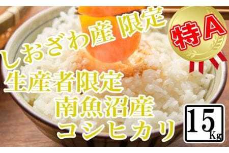 しおざわ産限定 生産者限定 南魚沼産コシヒカリ