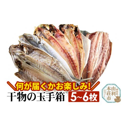 ふるさと納税 秋田県 由利本荘市 干物の玉手箱 5〜6枚