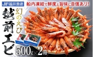 [e12-b002] 「幻のえび」 越前エビ 1kg （500g × 2箱） 船内凍結 鮮度と旨味に自信あり！