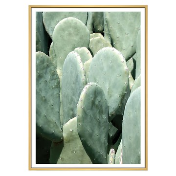 叢叢多肉小鮮綠I 藝術畫  70 x 50cm  木色