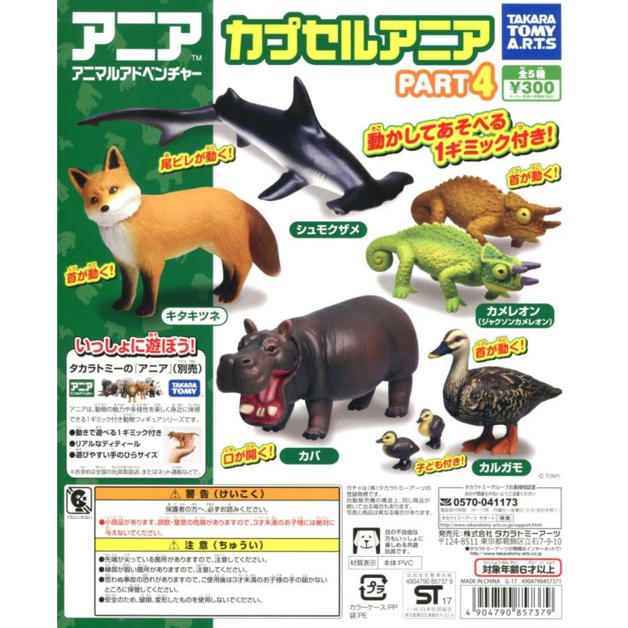 ジュジュ 木の実 動画あり! アンクレット シャカシャカ