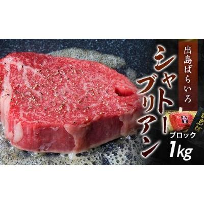 ふるさと納税 長崎県 長崎和牛 出島ばらいろ シャトーブリアンブロック　約1kg