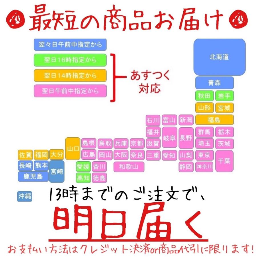 ギフト シャインマスカット 化粧箱 長野県産 果物 2個入り 送料無料 あすつく