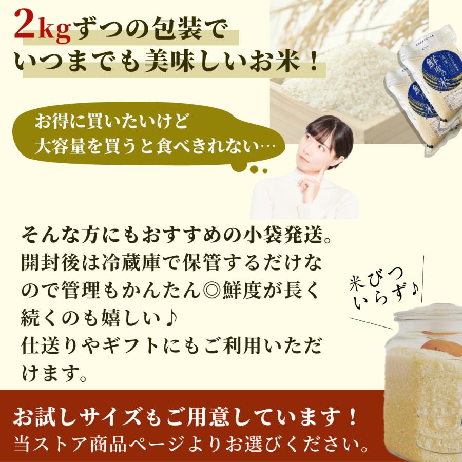  無洗米 10kg 2kgずつ真空パックでお届け！鮮度長持ち ずっと美味しいお米 長野県産コシヒカリ 農家直送 令和4年産 白米 米 10キロ（2kg×5袋）国産