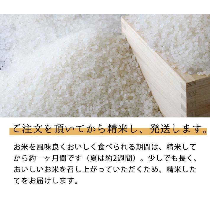 米 お米 5kg 2023年度 令和5年度産 山形 黒澤ファーム 夢ごこち