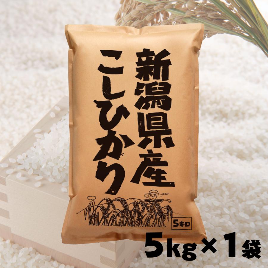 米 5kg お米 新潟県産 コシヒカリ 5年産 白米