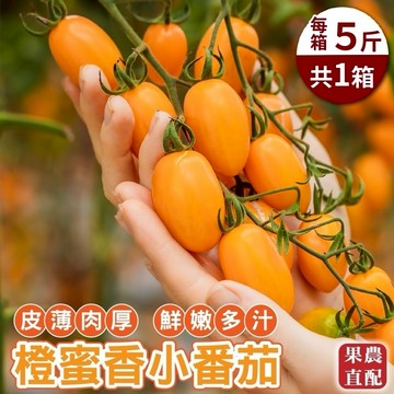【切果季】台灣嚴選橙蜜香番茄 (5斤±10%/箱)