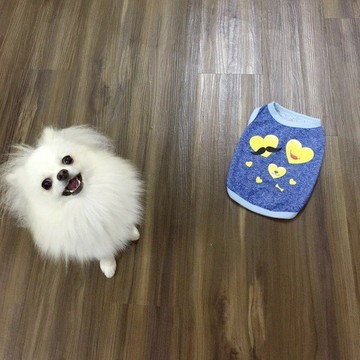 NINKYPUP 毛孩手工反光衣 訂製貓貓狗狗姓名 幸福汪汪