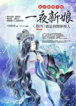 一夜新娘（卷四）：猶是春閨夢裡人（完）[二手書_普通]