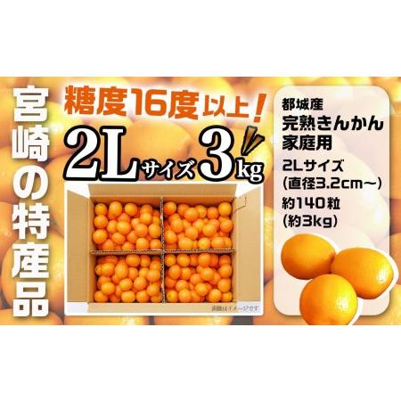 ふるさと納税 都城産完熟きんかん 家庭用3kg (2Lサイズ) 都城産 完熟きんかん きんかん 2Lサイズ 約3kg 柑橘類 2月〜3月お.. 宮崎県都城市