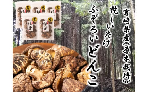 宮崎県産 原木栽培 乾しいたけ ふぞろい どんこ(55ｇ×5袋)計275g [本吉 宮崎県 日向市 452060109]