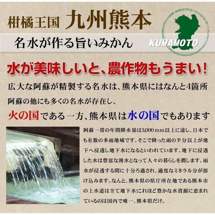 みかん 9kg 熊本産 ご家庭用 大玉みかん 送料無料 食品