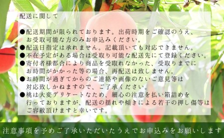 2024年発送 先行予約 浅間水蜜桃 みつおかの もも なつっこ 秀品 約5kg 長野県産 小諸市 桃