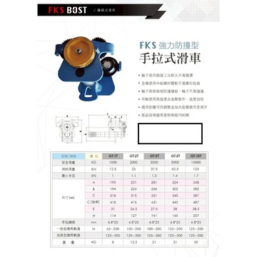 WIN五金 FKS BOST 鍊條式滑車<3T*3M 125-300mm> 齒輪式滑車 鍊動小車 工字鐵滑車 手推滑車 跑車 絞盤 手拉吊車 手搖吊車