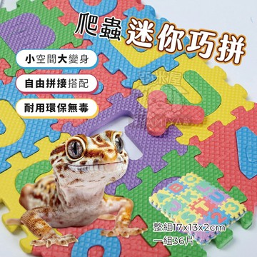 爬蟲迷你巧拼 爬蟲造景 爬寵擺飾 爬寵小物 爬蟲用品 守宮 蜥蜴 鬆獅蜥 肥尾守宮 巧拼 好玩 有【亞米屋Yamiya】