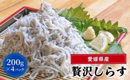 しらす 800g 200g × 4パック 冷凍 小分け 釜揚げ しらす丼 魚 しらす さかな しらす ご飯 しらす 炒飯 じゃこ しらす 愛媛県 松山市