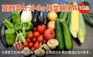 夏野菜セットC 10品 以上 季節 旬 夏 野菜 葉物 果菜 根菜 冷蔵 野菜室 ダイエット 食 栄養食 加工品 岩手県産 北上産 季節限定 稀少 数量限定 とうもろこし ヤングコーン ブロッコリー レタス ズッキーニ ケール ブルーベリー きゅうり ミニ トマト ピーマン 玉ねぎ 大根 インゲン オクラ つるむらさき 枝豆 モロヘイヤ なす